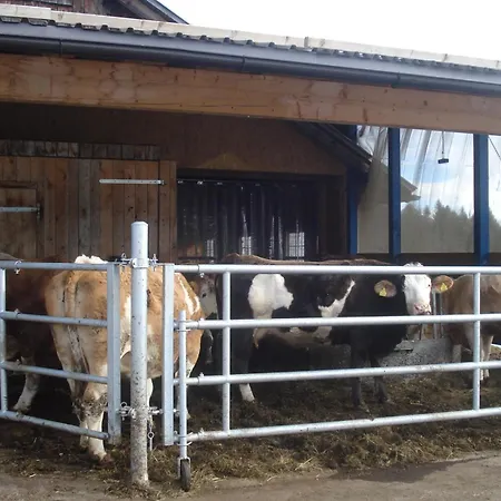 Haus Mondspitze * Buerserberg